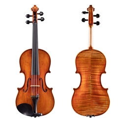 Shop the Eastman 30th Anniversary Model 830 Violin at Violin Outlet